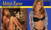 Visit Akira Lane