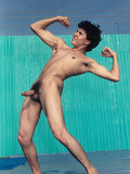 Dark haired slim athletic guy shows his cock while posing naked in the outdoors