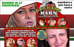 Visit Bukkake Barn