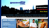 Visit Buzzed Up