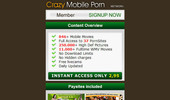Visit Crazy Mobile Porn