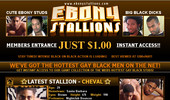Visit Ebony Stallions