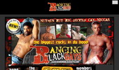 Visit Just Black Gays