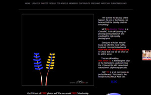 Visit Metcn.cc
