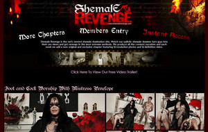 Visit Shemale Revenge