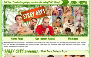 Visit Stray Gays
