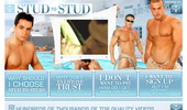 Visit Stud To Stud