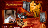Visit True Gay Violent Movies