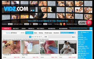 Visit Vidz.com
