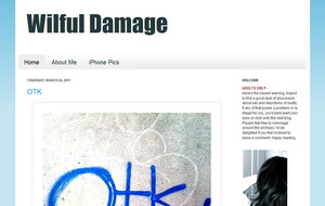 Visit Wilful Damage