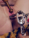 Wired Pussy / Gallery #4353921