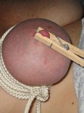 The bound babe with pins on her nipples has her clitoris and anus tortured