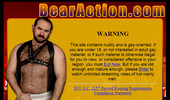 Visit Bear Action