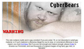 Visit Cyber Bears