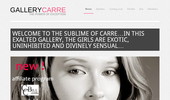 Visit Gallery Carre