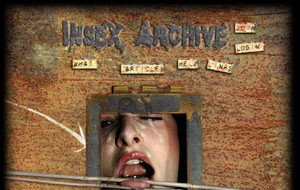 Visit Insex Archives