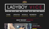 Visit Ladyboy Vice